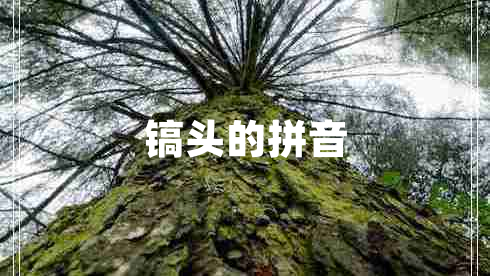 鎬頭的拼音
