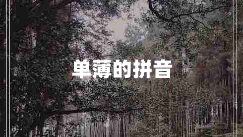 單薄的拼音