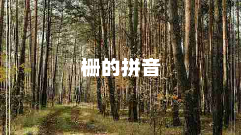 柵的拼音