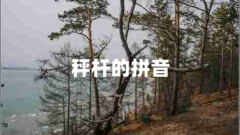 秤桿的拼音