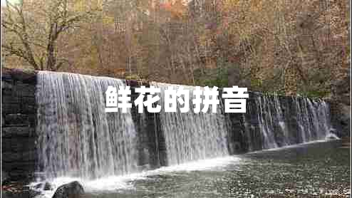 鮮花的拼音