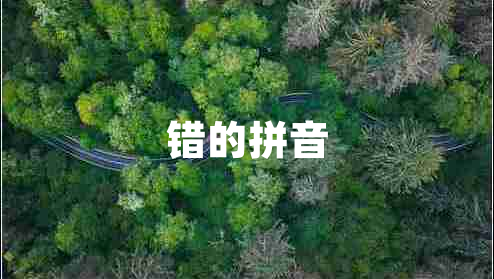 錯的拼音