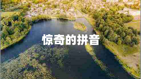 驚奇的拼音