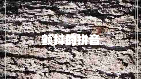 顫抖的拼音