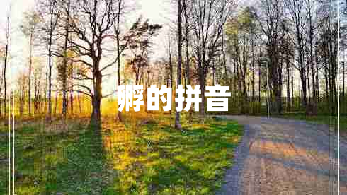 孵的拼音