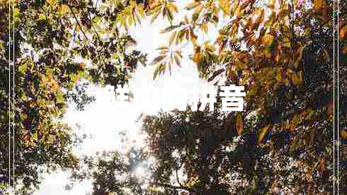 鮮血的拼音