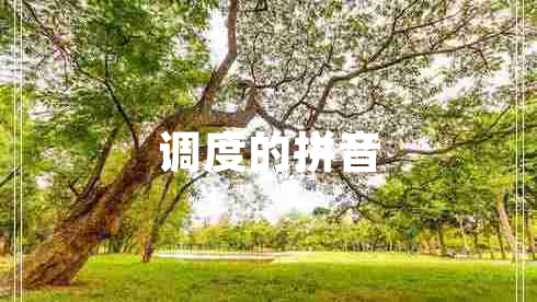 調度的拼音