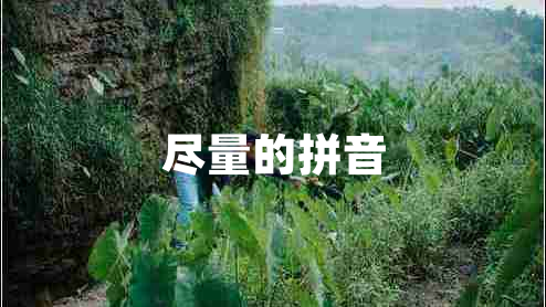 盡量的拼音
