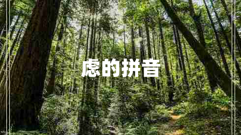 慮的拼音