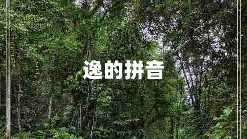 逸的拼音