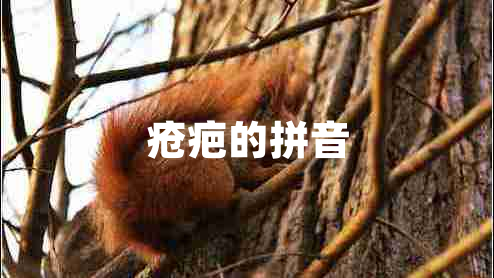 瘡疤的拼音
