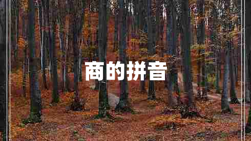 商的拼音