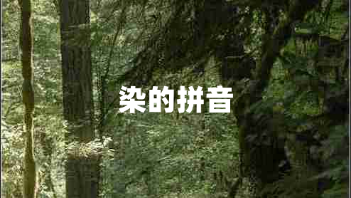 染的拼音