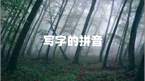 寫(xiě)字的拼音