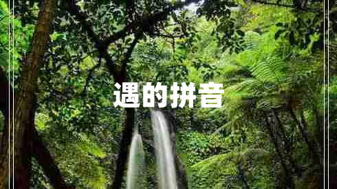 遇的拼音