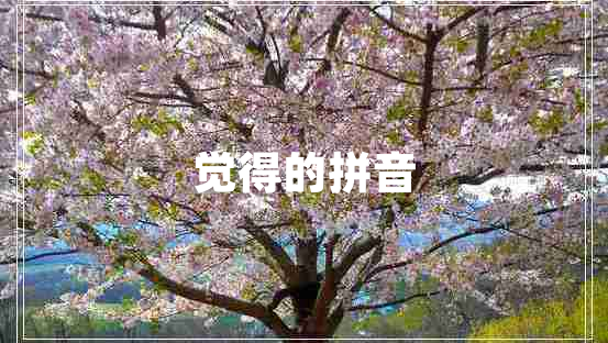 覺(jué)得的拼音