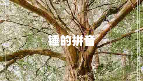 錘的拼音