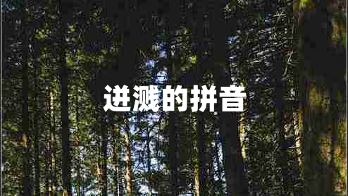 迸濺的拼音