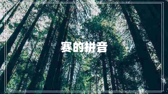 賽的拼音