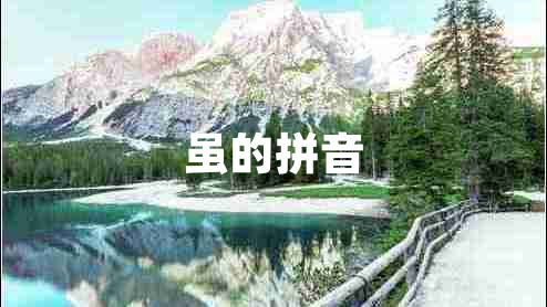 雖的拼音