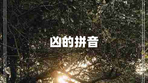 兇的拼音