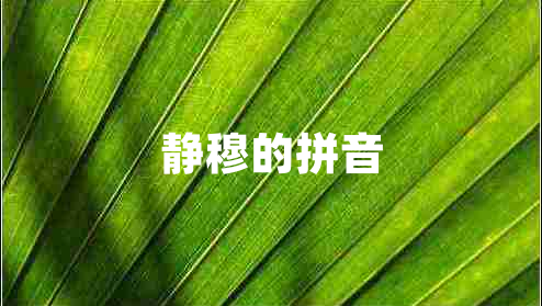 靜穆的拼音