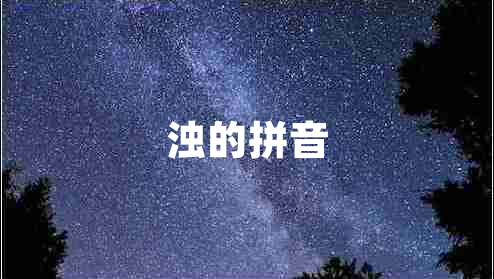 濁的拼音