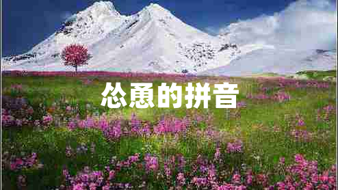 慫恿的拼音