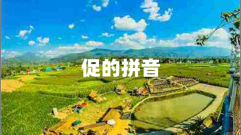 促的拼音