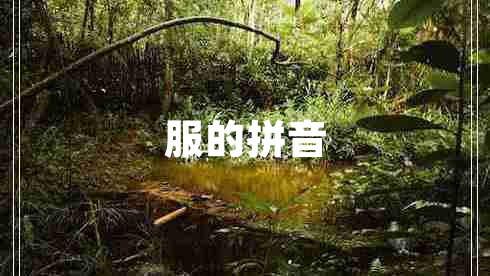 服的拼音