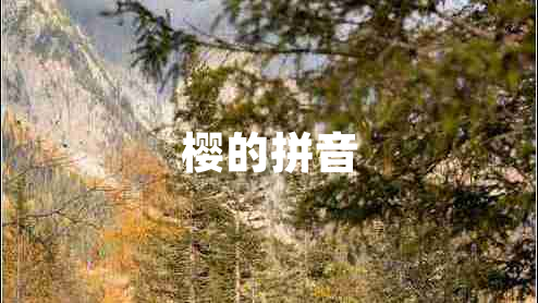 櫻的拼音