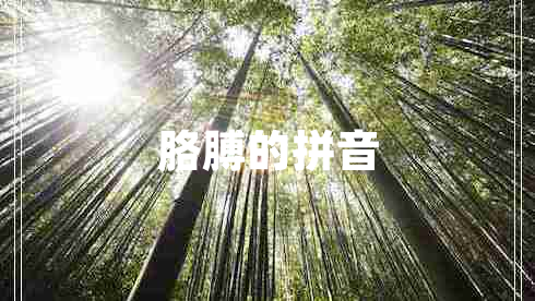 胳膊的拼音