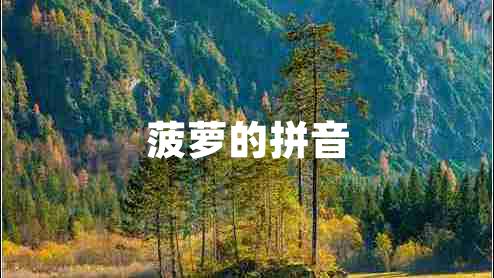 菠蘿的拼音