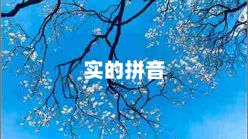 實(shí)的拼音