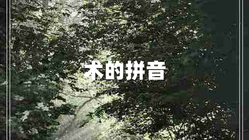 術(shù)的拼音