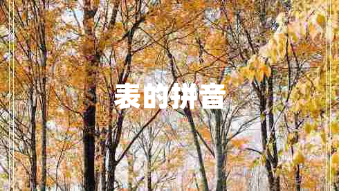 表的拼音