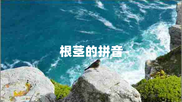 根莖的拼音