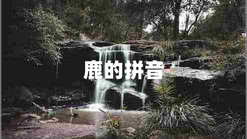 鹿的拼音