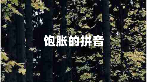 飽脹的拼音