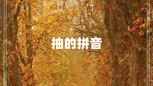 抽的拼音