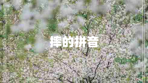 摔的拼音