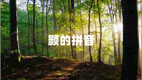 顥的拼音