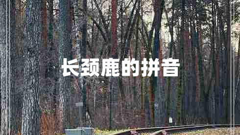 長(cháng)頸鹿的拼音