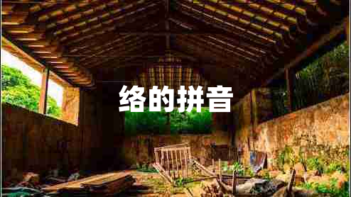 絡(luò )的拼音