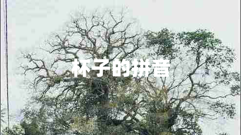 杯子的拼音