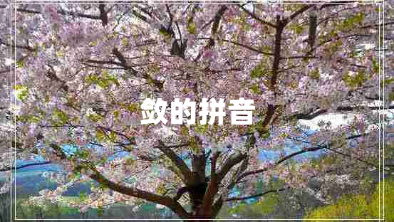 斂的拼音