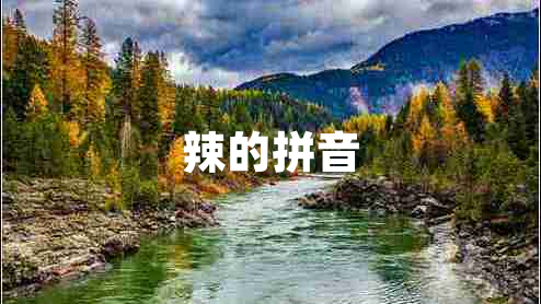 辣的拼音