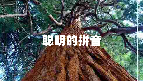 聰明的拼音