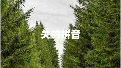 關(guān)的拼音