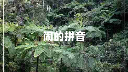 鬧的拼音
